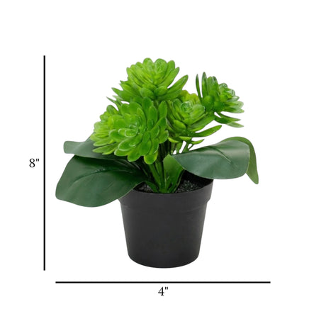 flower pot plastic green wax plant 8x4 china