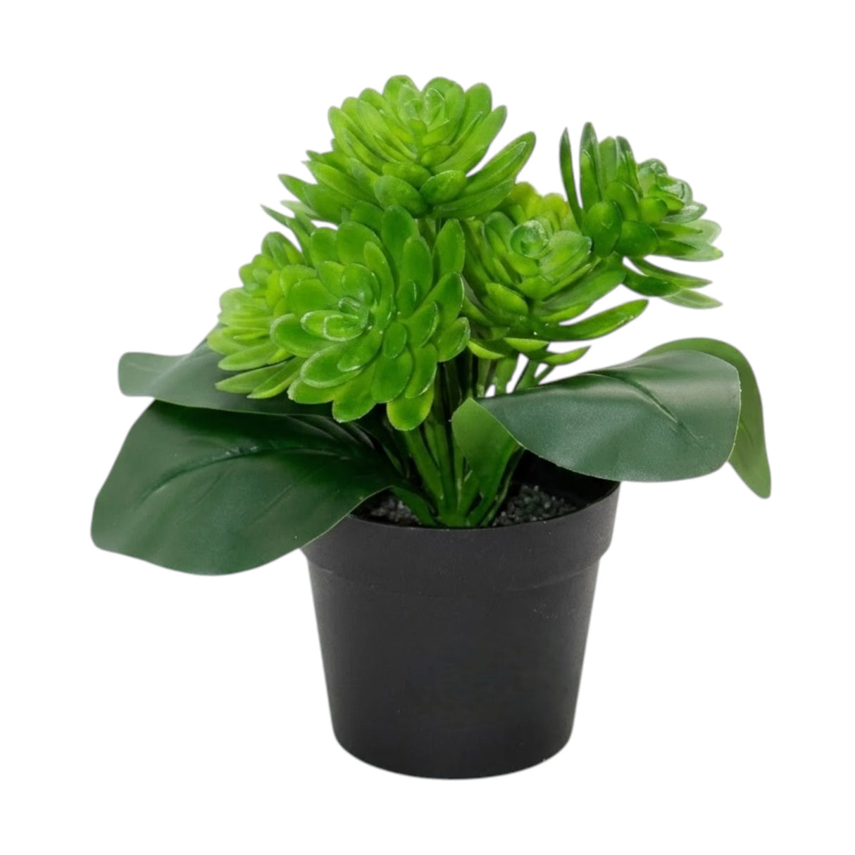 flower pot plastic green wax plant 8x4 china