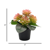 flower pot plastic 2tone pink wax plant 8x4 china