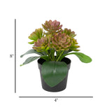 flower pot plastic 2tone lavender wax plant 8x4 china