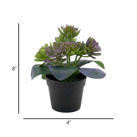 flower pot plastic 2tone blue wax plant 8x4 china