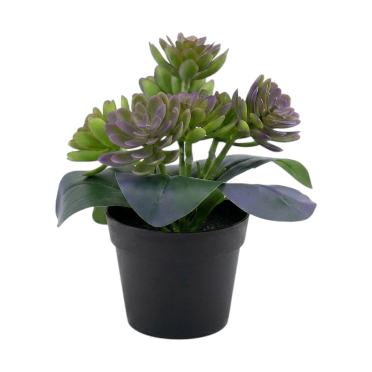 flower pot plastic 2tone blue wax plant 8x4 china