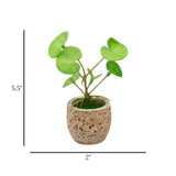 flower mini pot ceramic faux foliage 5.5x2 china