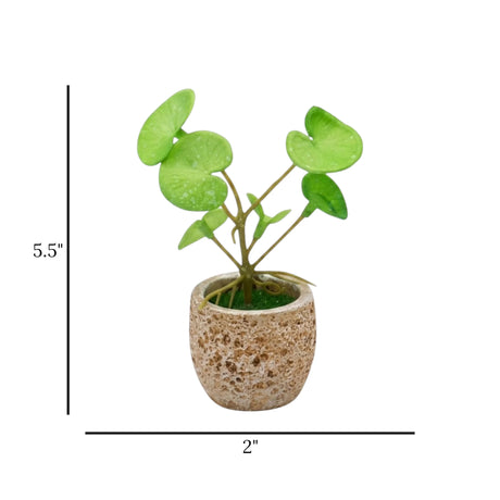 flower mini pot ceramic faux foliage 5.5x2 china