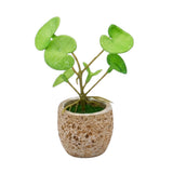 flower mini pot ceramic faux foliage 5.5x2 china