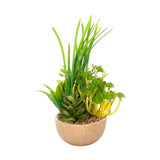 flower pot ceramic aloe-vera grass 11x5 china