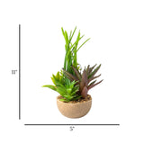 flower pot ceramic aloe-vera & foliage grass 11x5 china
