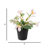 flower pot plastic white lily 9x4 china