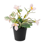 flower pot plastic white lily 9x4 china