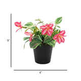 flower pot plastic pink lily 9x4 china