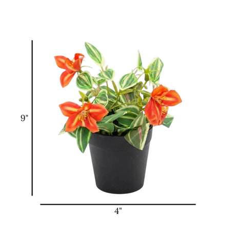 flower pot plastic orange lily 9x4 china