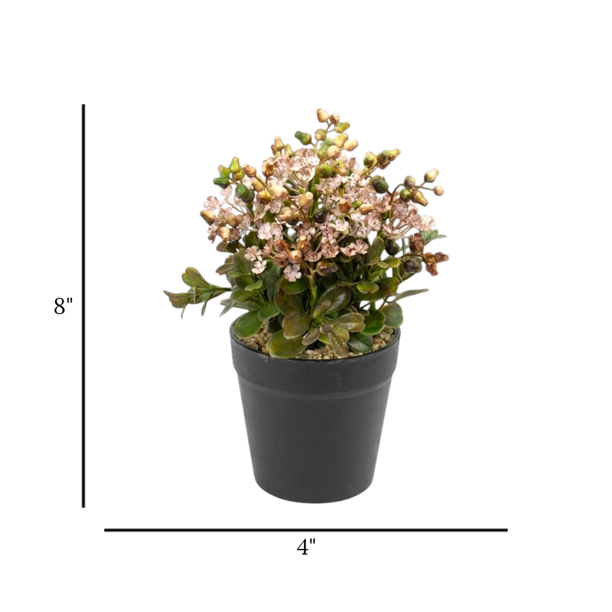 flower pot plastic brown star seeds 8x4 china