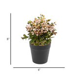 flower pot plastic brown star seeds 8x4 china