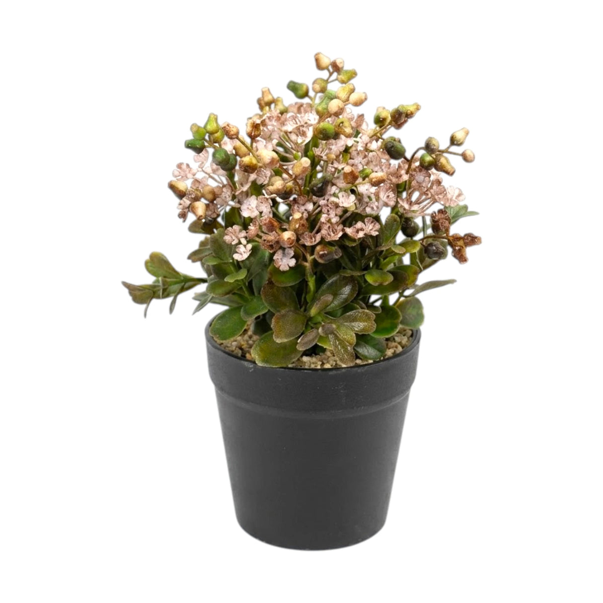 flower pot plastic brown star seeds 8x4 china