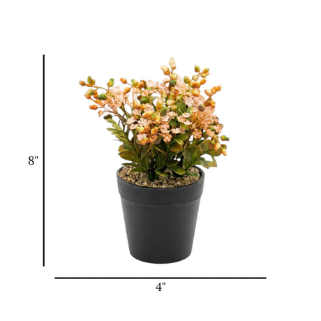 flower pot plastic peach star seeds 8x4 china