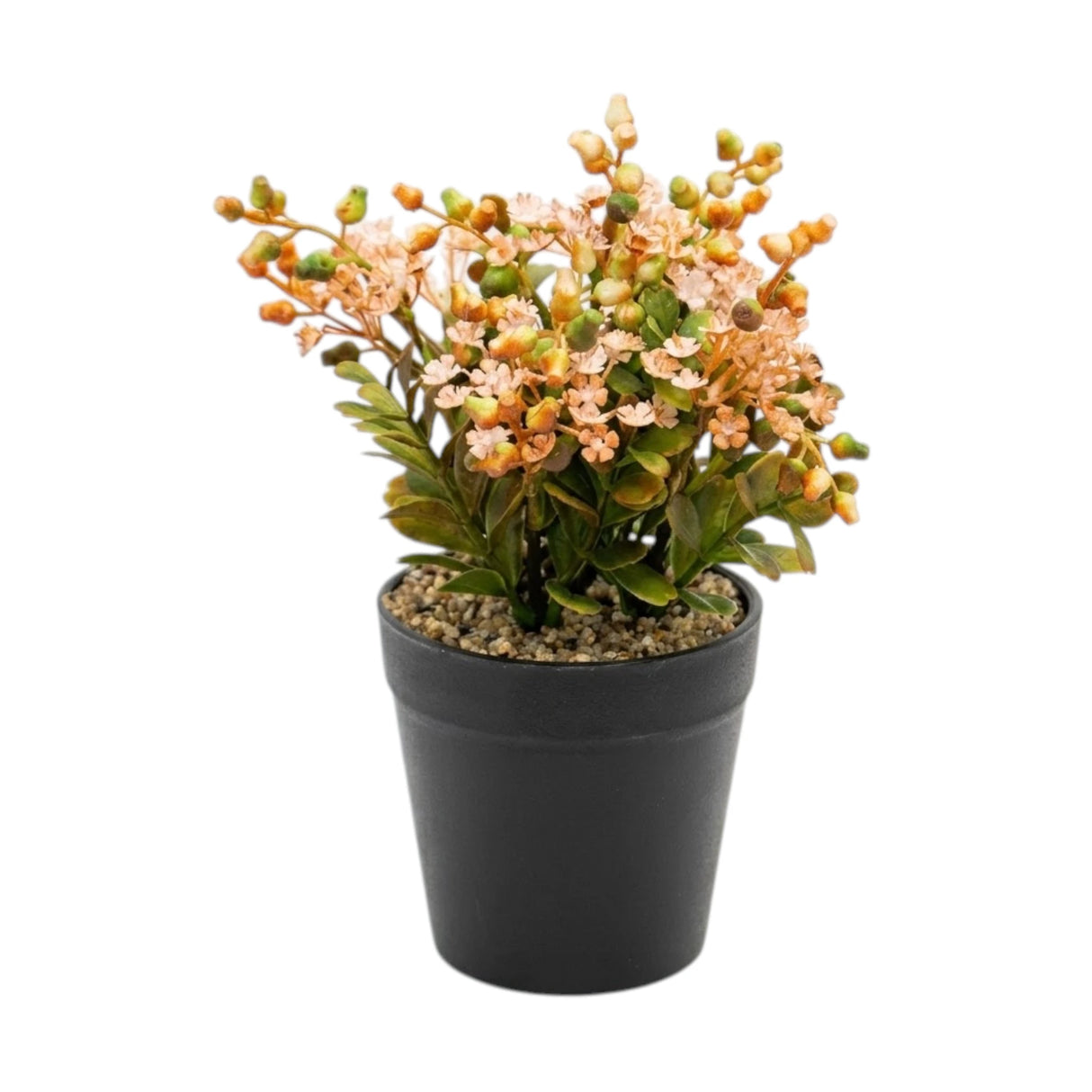 flower pot plastic peach star seeds 8x4 china