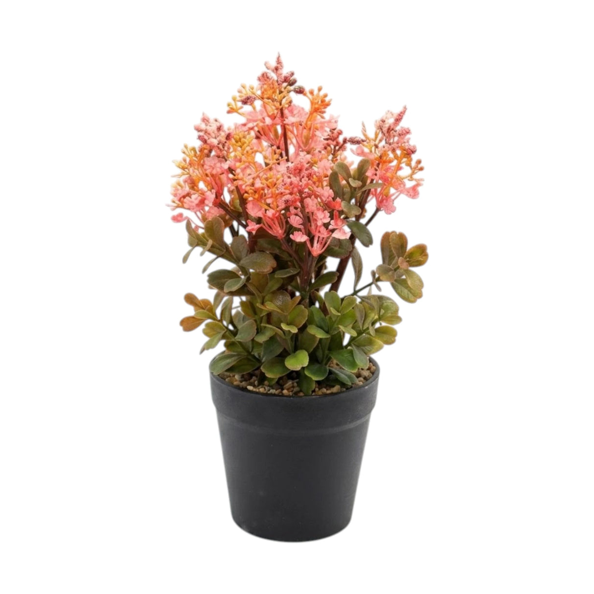 flower pot plastic pink star 10x4 china