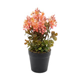 flower pot plastic pink star 10x4 china