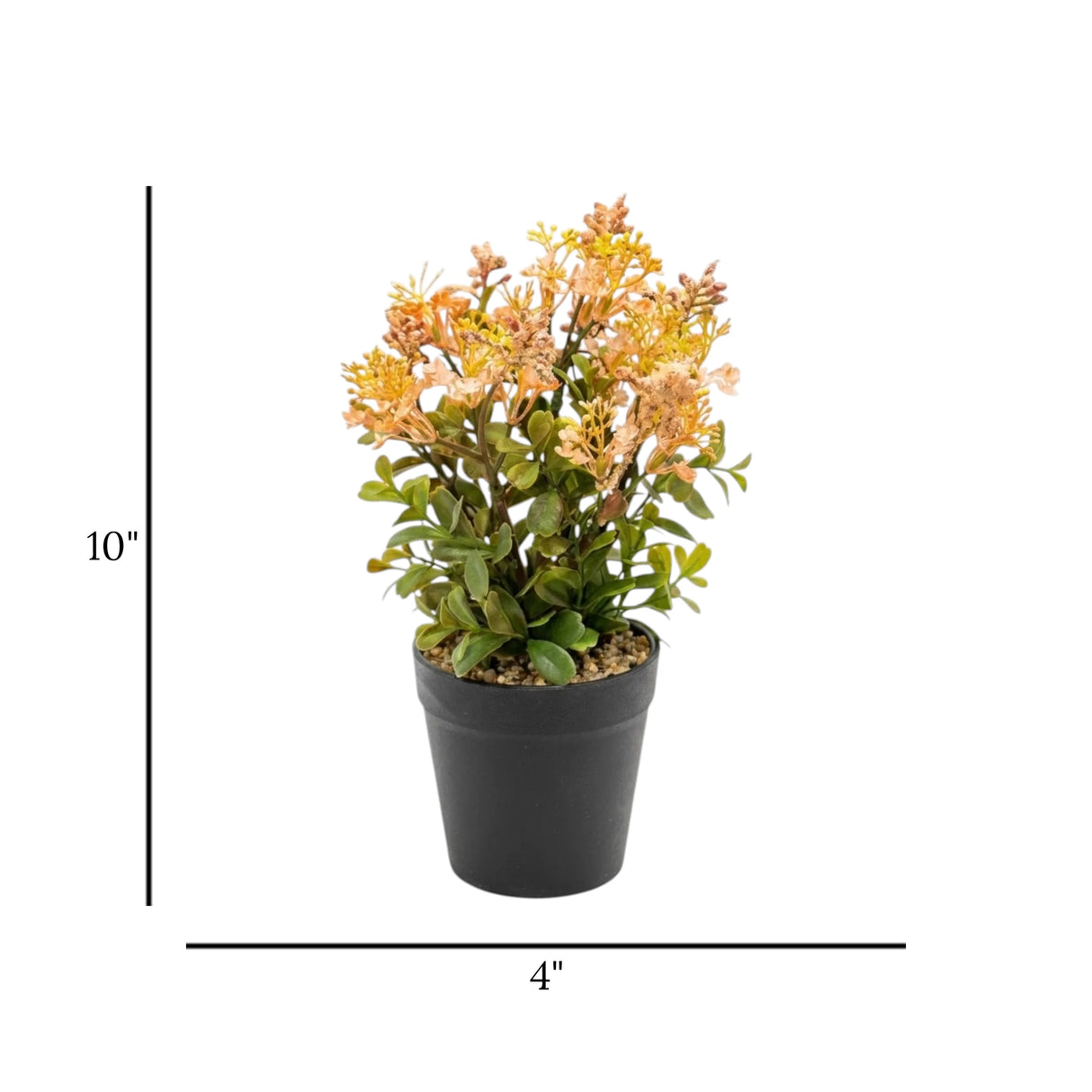 flower pot plastic peach star 10x4 china