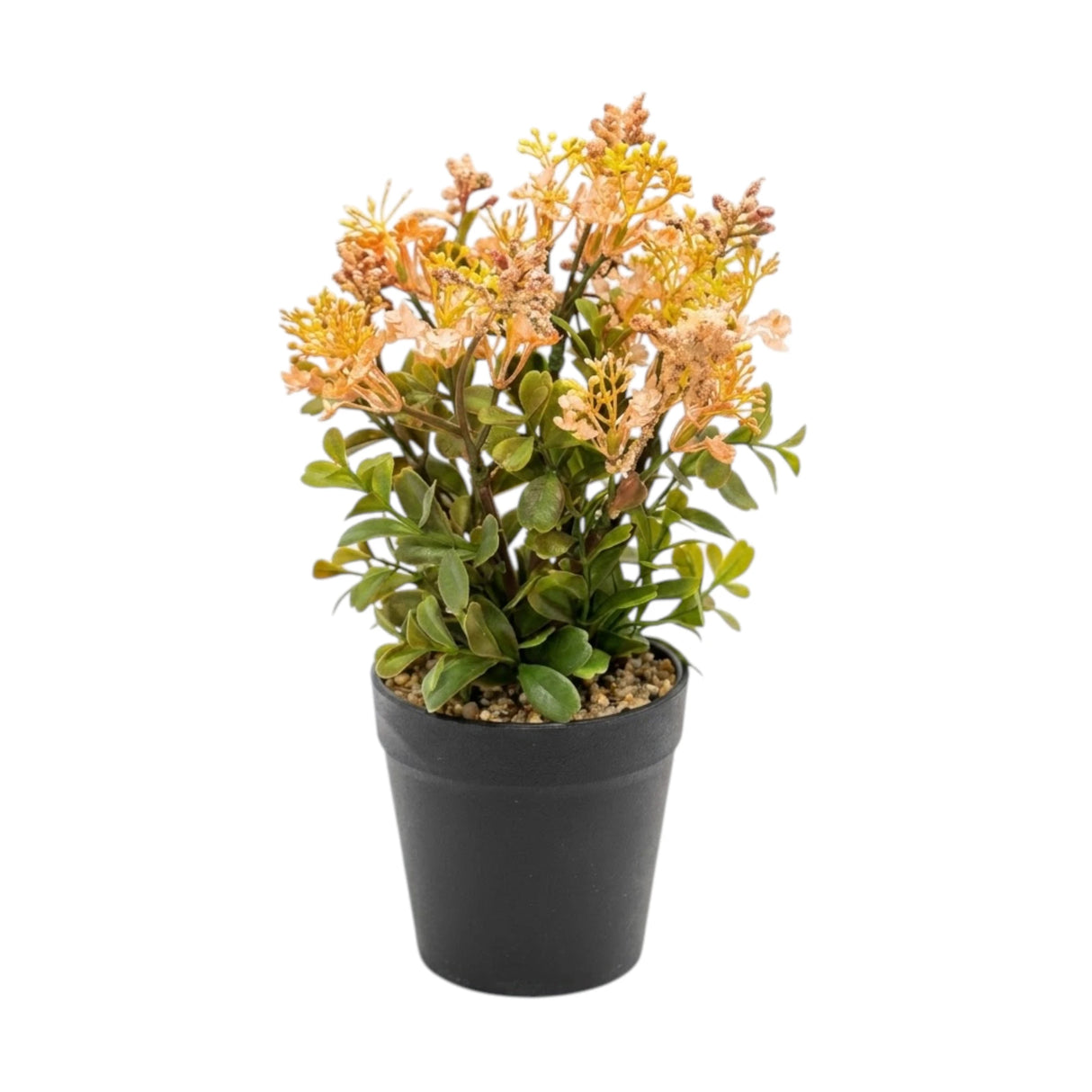 flower pot plastic peach star 10x4 china