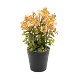 flower pot plastic peach star 10x4 china