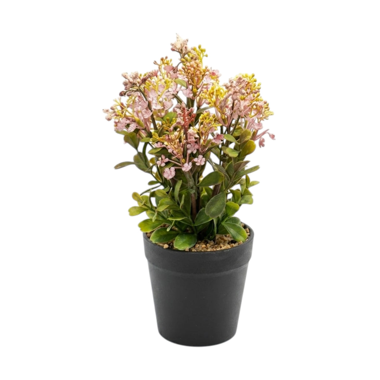 flower pot plastic lavender star 10x4 china