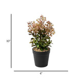 flower pot plastic brown star 10x4 china
