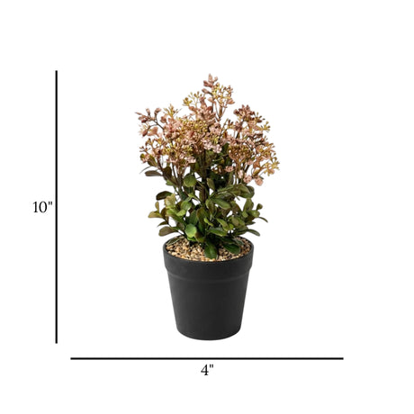 flower pot plastic brown star 10x4 china