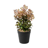 flower pot plastic brown star 10x4 china