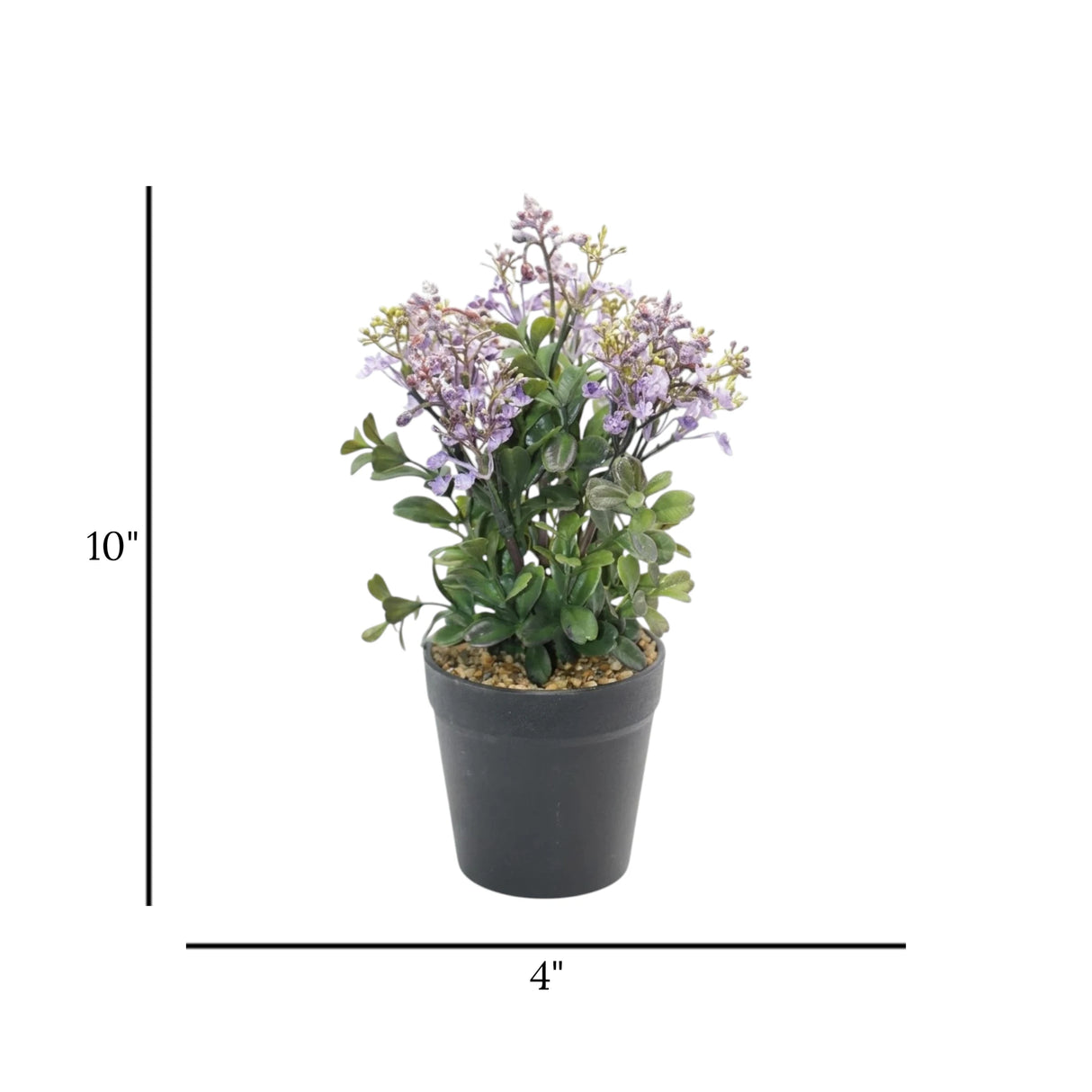 flower pot plastic purple star 10x4 china