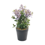 flower pot plastic purple star 10x4 china