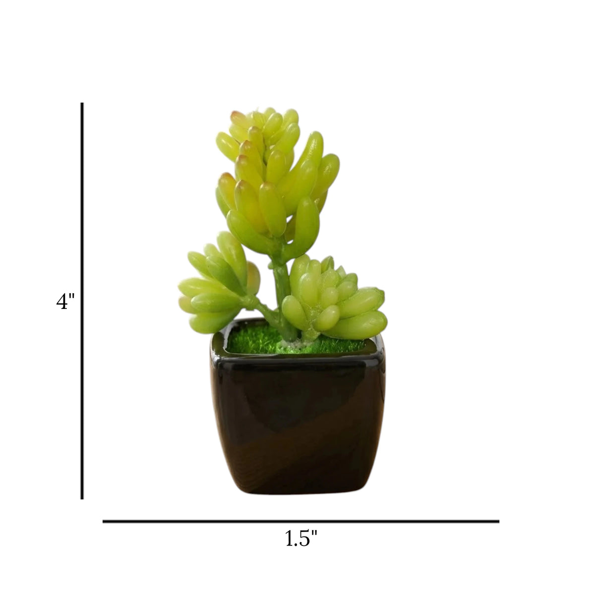 mini ceramic pot jelly bean green 4"x1.5" china