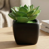 mini ceramic pot flower dark green 4"x1.5" china