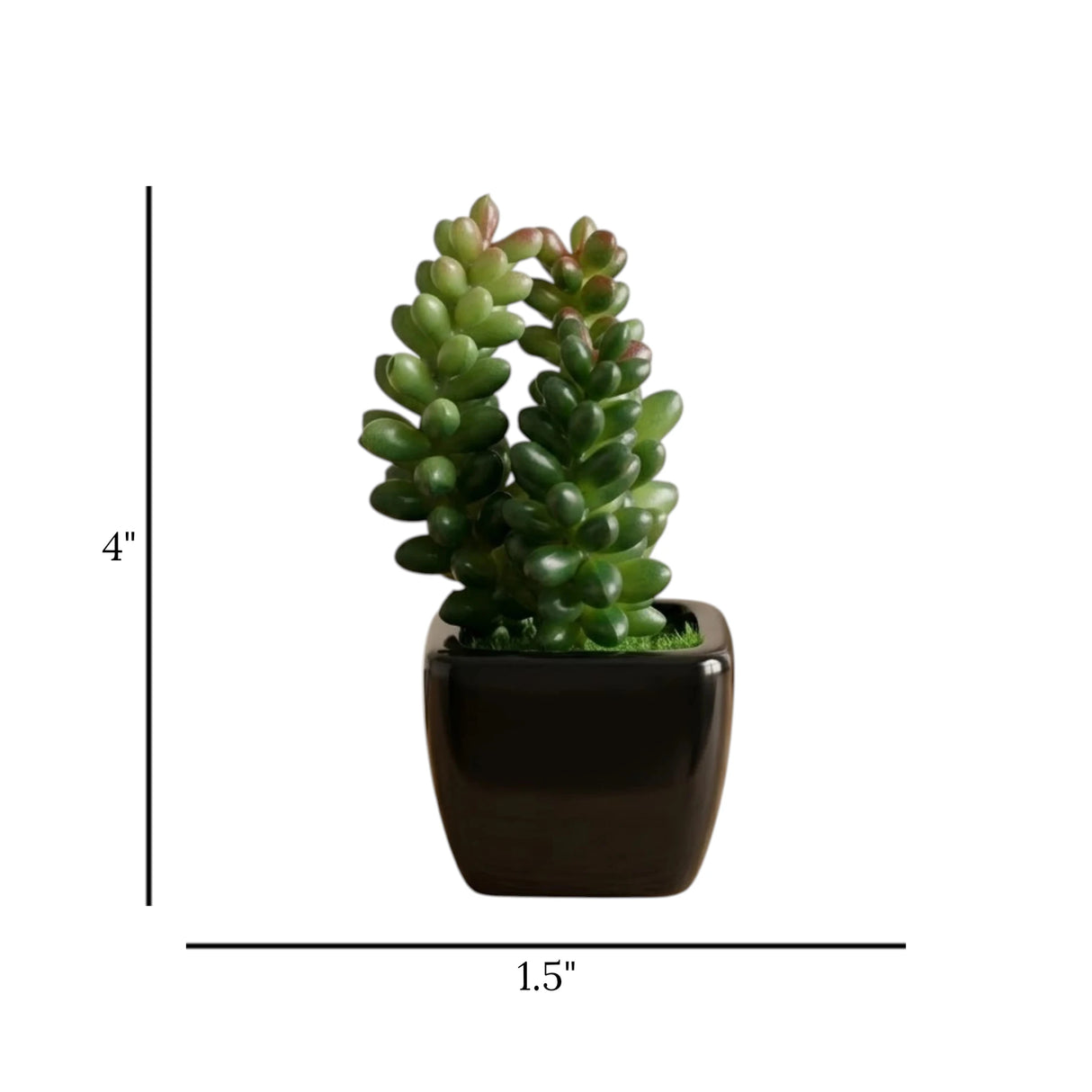 cactus & ceramic pot green 1.5"hx 4"w china d040