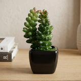 cactus & ceramic pot green 1.5"hx 4"w china d040