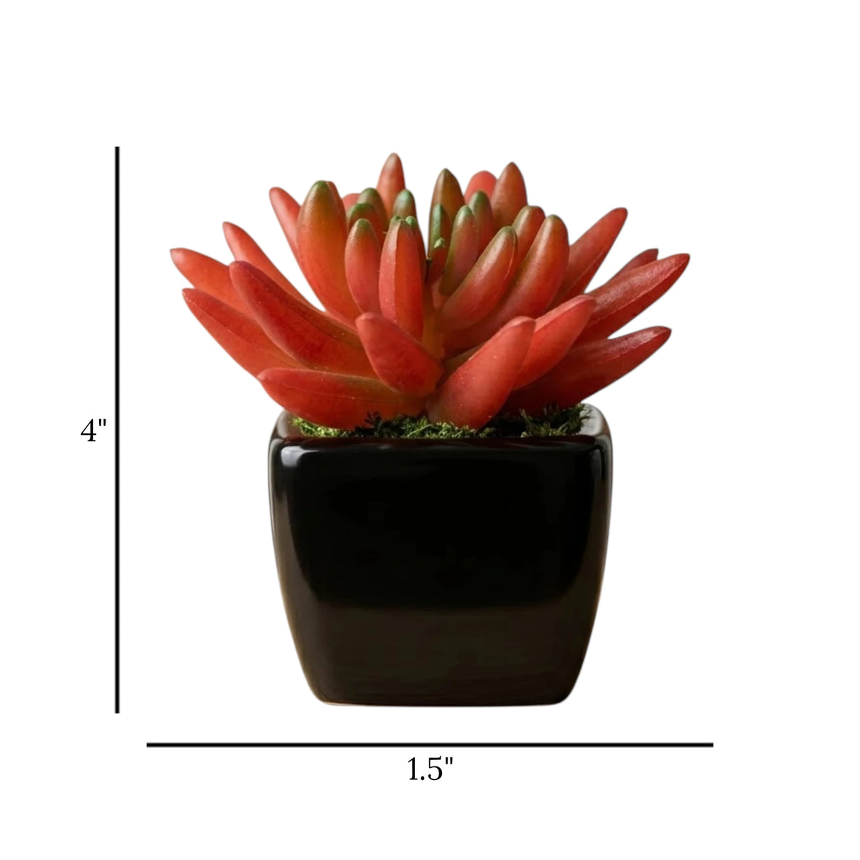 mini ceramic pot succulent red 4"x1.5" china