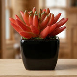 mini ceramic pot succulent red 4"x1.5" china
