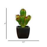 mini ceramic pot cactus green red 4"x1.5" china