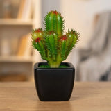 mini ceramic pot cactus green red 4"x1.5" china