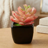 mini ceramic pot lotus red 4"x1.5" china