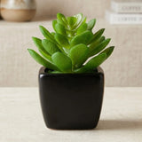 mini ceramic pot lotus green 4"x1.5" china