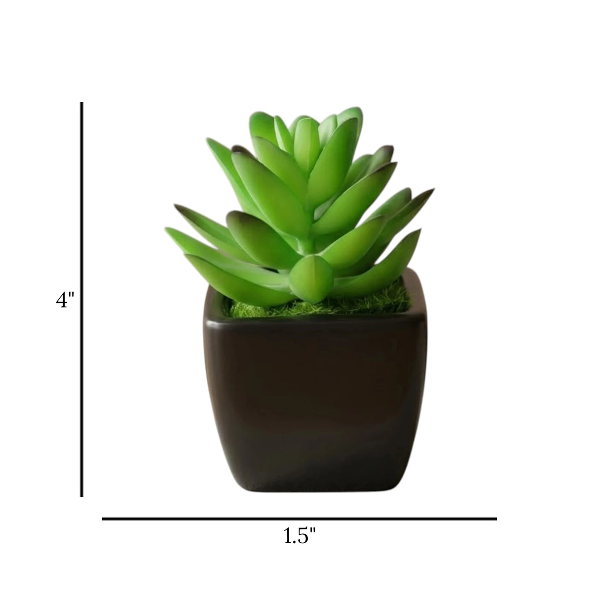 mini ceramic pot aloe vera dark green 4"x1.5" china