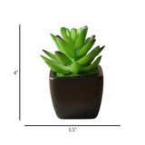 mini ceramic pot aloe vera dark green 4"x1.5" china