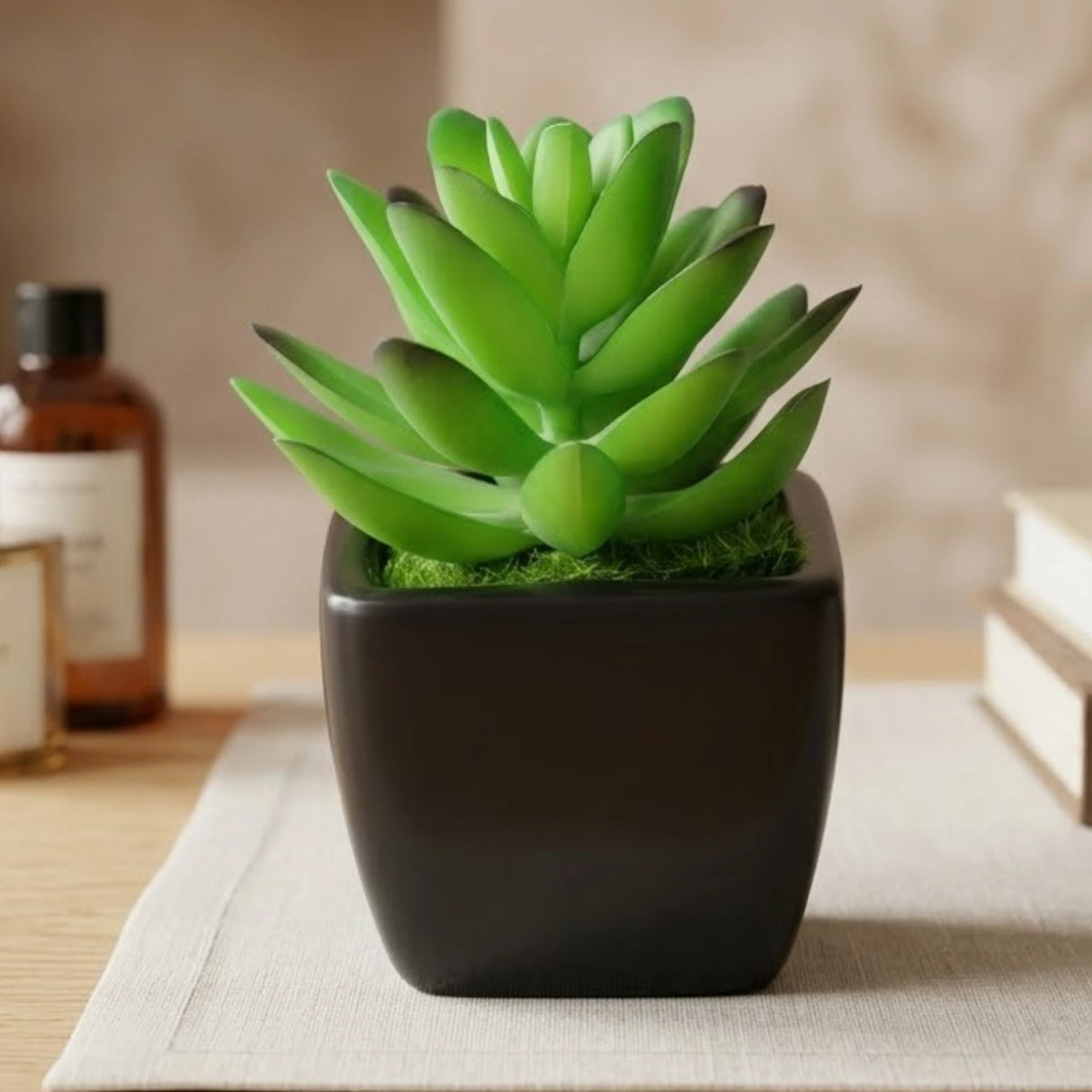 mini ceramic pot aloe vera dark green 4"x1.5" china