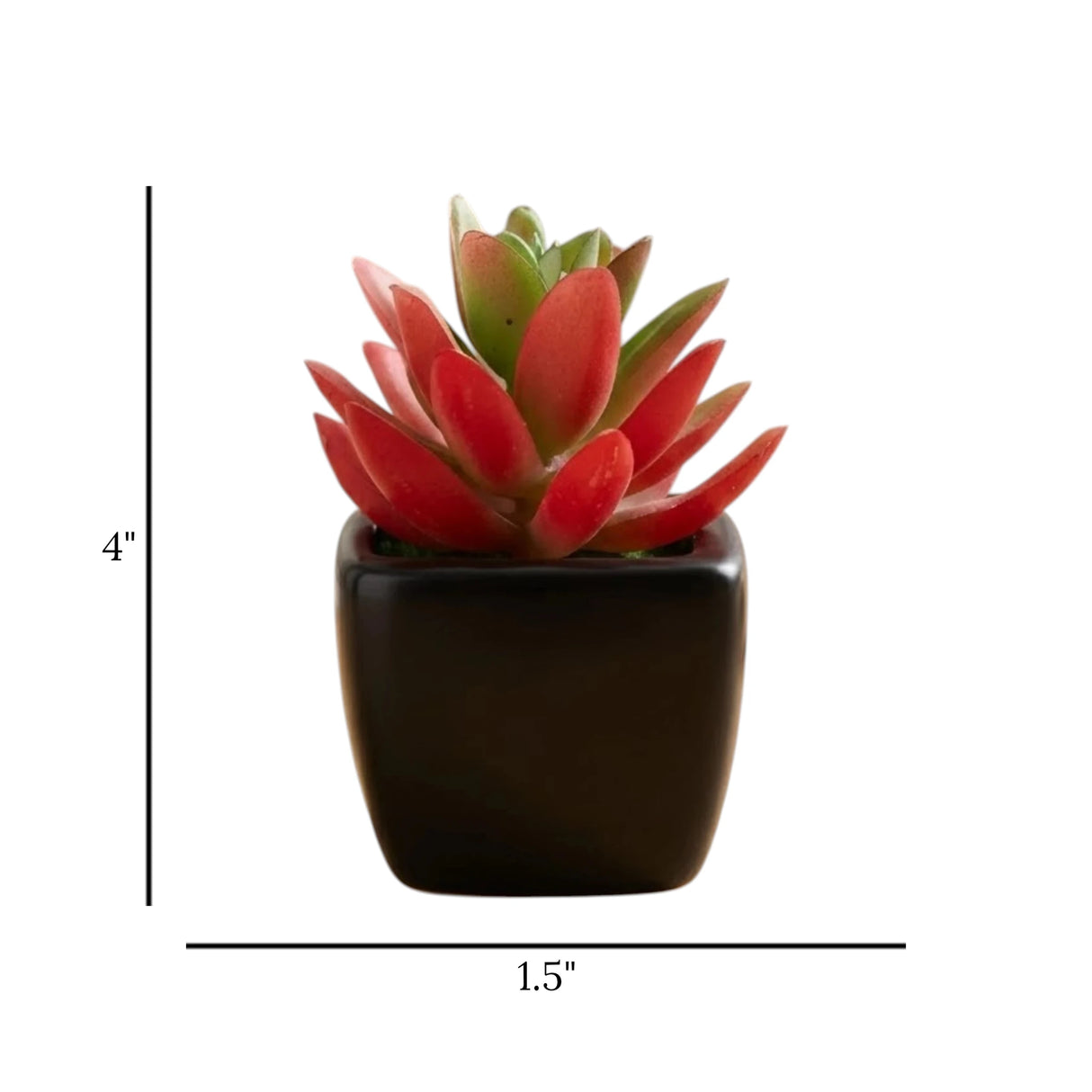 mini ceramic pot aloe vera red 4"x1.5" china