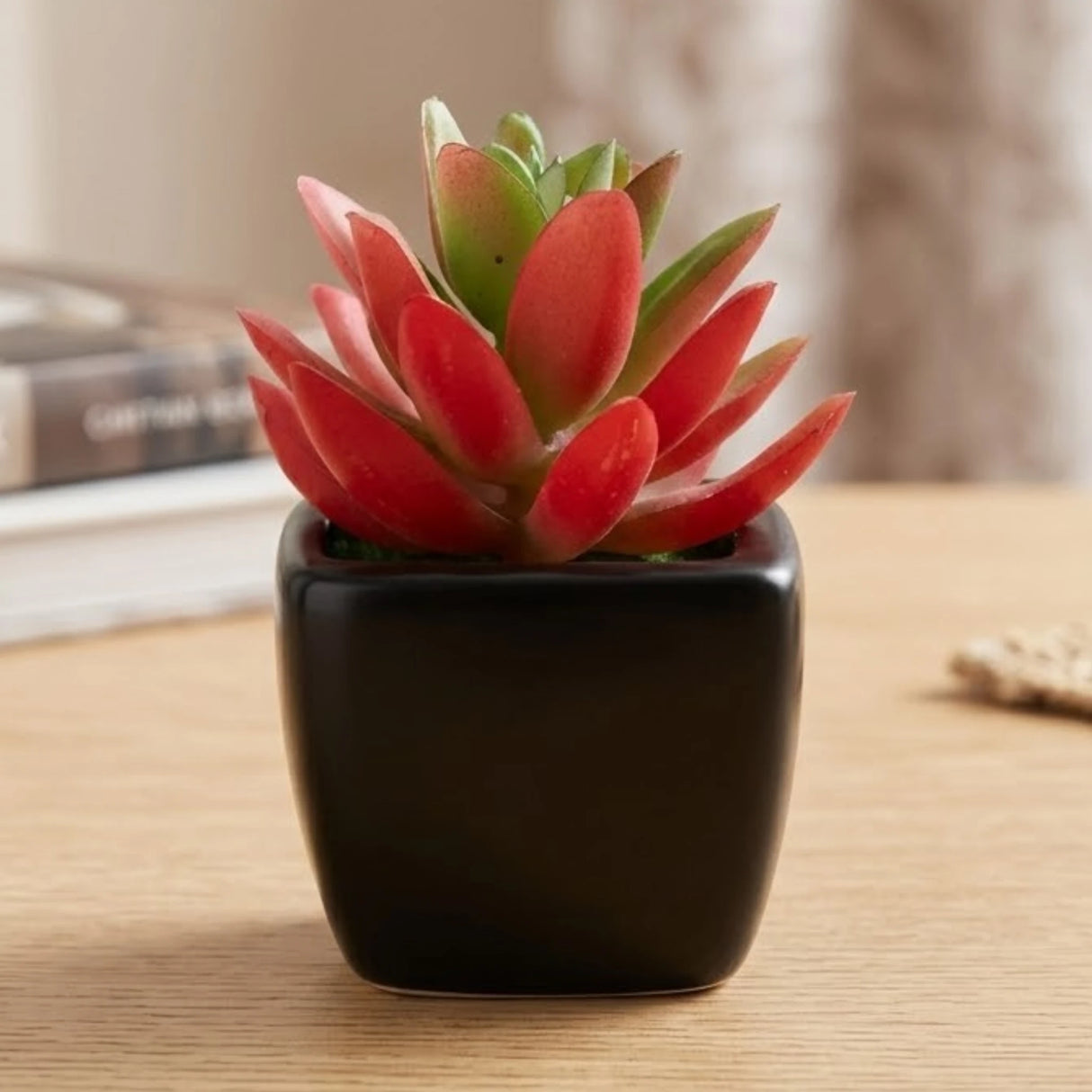 mini ceramic pot aloe vera red 4"x1.5" china