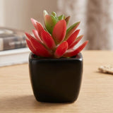 mini ceramic pot aloe vera red 4"x1.5" china