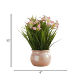 ceramic flower pot tulip pink 10''x4'' china