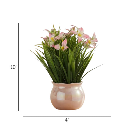 ceramic flower pot tulip pink 10''x4'' china