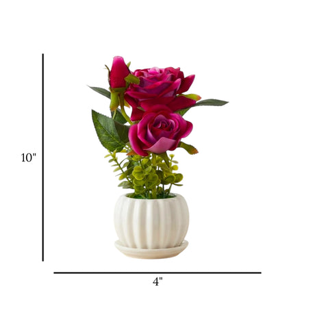 ceramic flower pot rose purple 10"x4" china